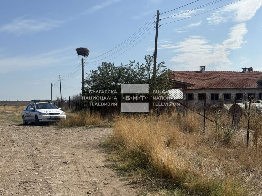 Полицията в Пловдив разследва жестоко убийство в Съединение