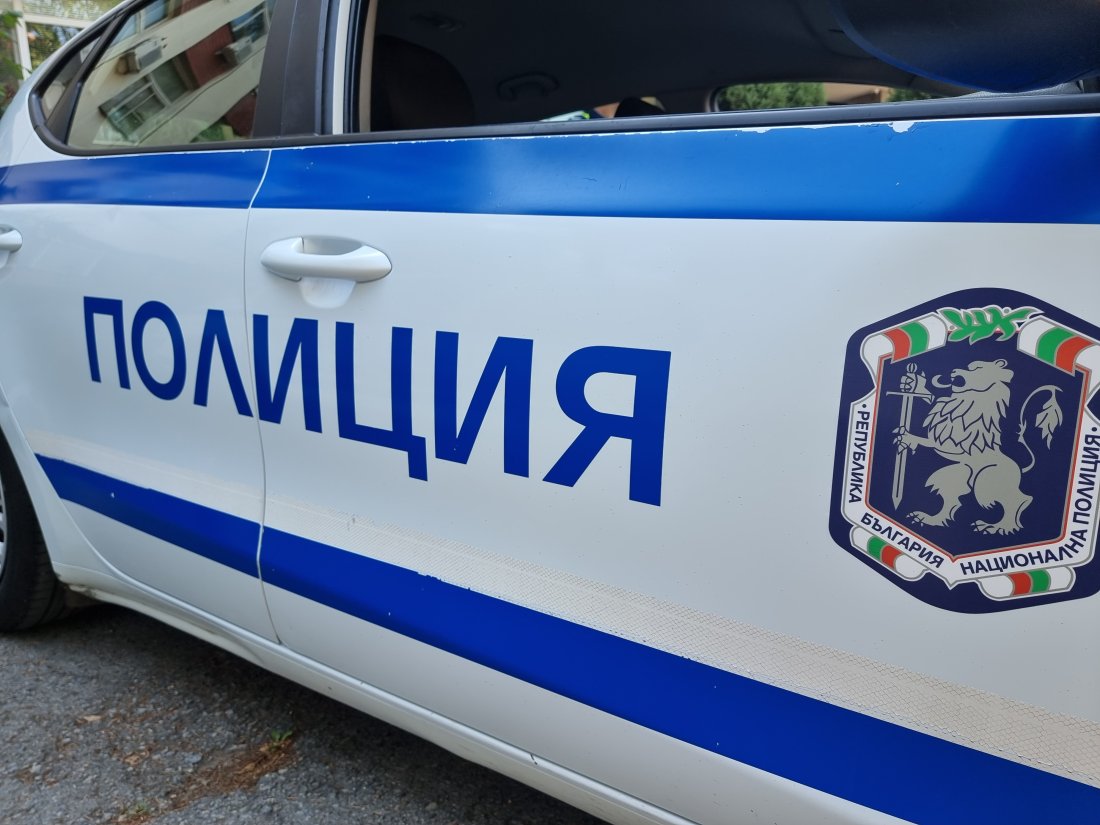 12 души пострадаха след катастрофата, предизвикана от диво прасе край Бургас