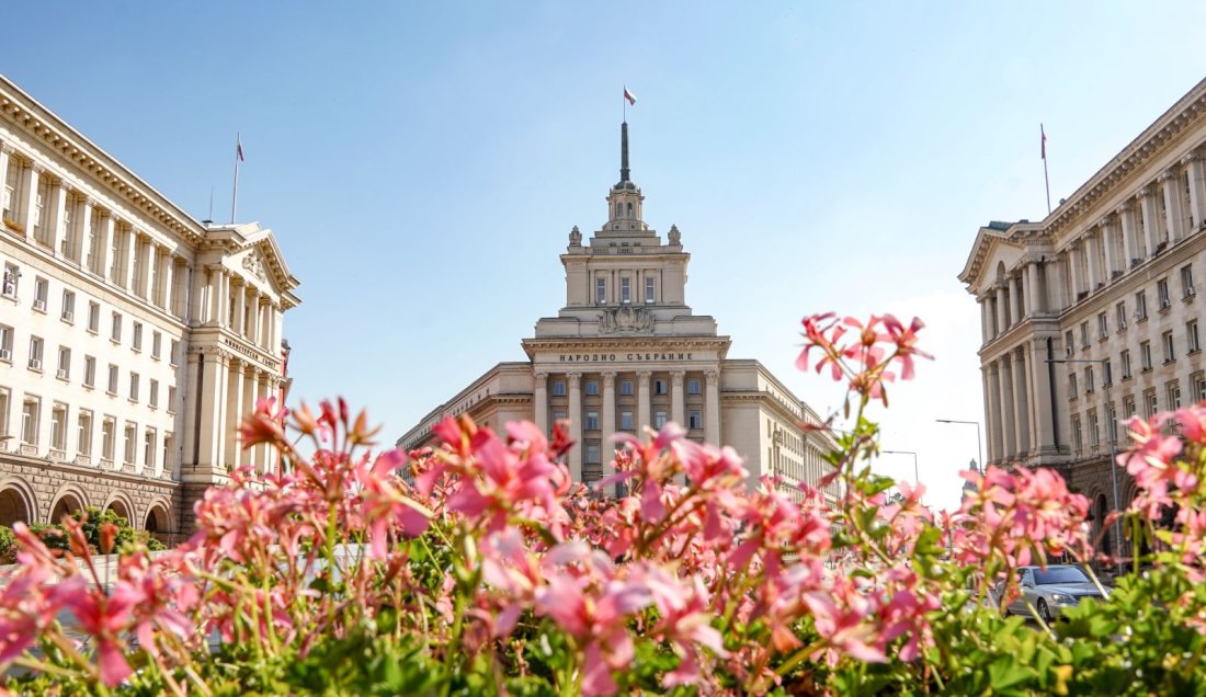 презизборната надпревара