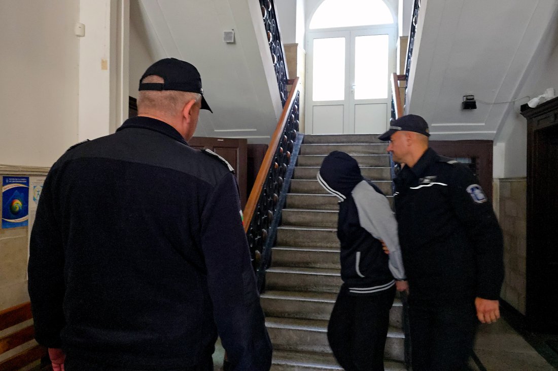 Две години затвор и глоби за двойка, измъчвала животни