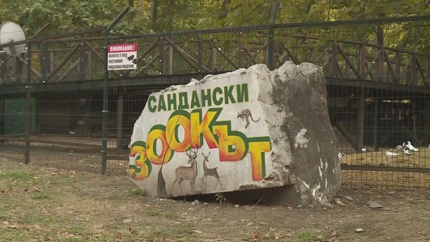 Предупреждение за мечка в района на зоокъта в Сандански