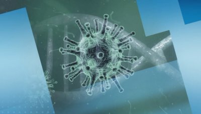 Първи смъртен случай от коронавирус в САЩ