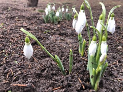 Днес валежите ще спрат, а вятърът ще отслабне