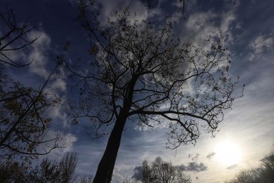 По-студено днес