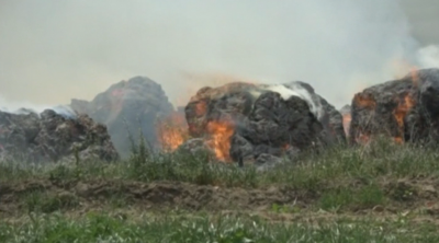 Пожар гори край руенското село Просеник