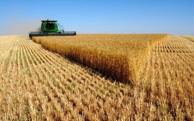 Над 100 хиляди заявления за субсидиране, подадени от земеделците