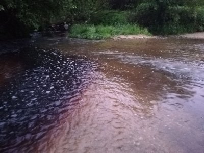 Незаконна розоварна замърси две реки