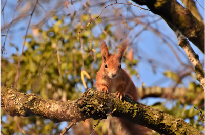 Слънчево и по-топло днес