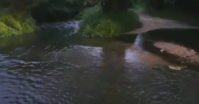 Две реки потекоха в черен цвят в района на Старосел. Рибата измря