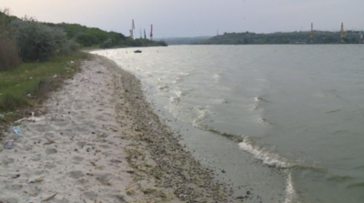 Рибата във Варненското езеро измряла заради повишено съдържание на амониев азот