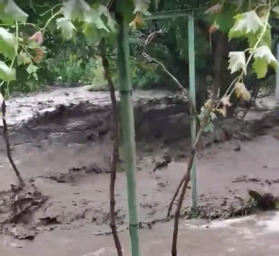 Потоп наводни улици и частни дворове в плевенското село Асеново