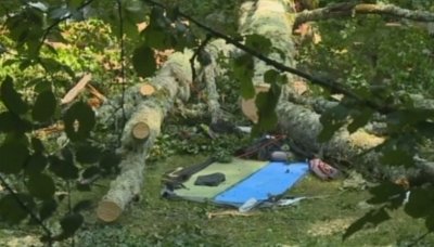 Не е ясно защо е паднало дървото, убило чешката туристка в Рила