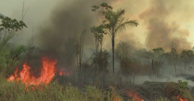 Големи пожари бушуват в Амазония
