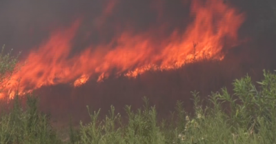 Голям пожар пламна в Хасковско