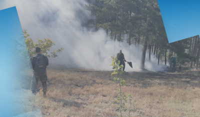 Локализиран е пожарът край старозагорското село Дълбоки