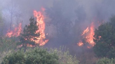 Над 280 дка гори са изгорели в Русенско от началото на годината