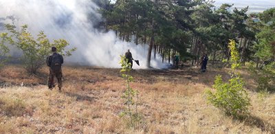 Пожар на площ от 300 декара гори до Симеоновград