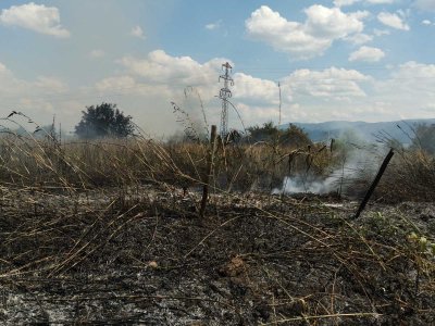 Пожар избухна в автоморга край Пловдив (Снимки)