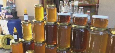 Рекордно ниски добиви на мед в Кюстендилско