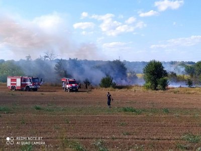 Пожар унищожи 50 тона фураж близо до АМ "Хемус“
