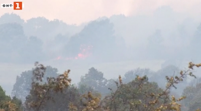 Все още не е овладян пожарът край село Лесово