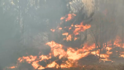 Няма опасност пожарът край Свиленград да се разпространи към други населени места