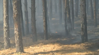 Пожарът край Свиленград е локализиран, но още има незагасени огнища