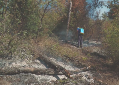 Локализиран е пожарът край първомайското село Искра