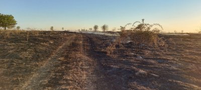 5 пожара гасиха за ден огнеборците в Русе