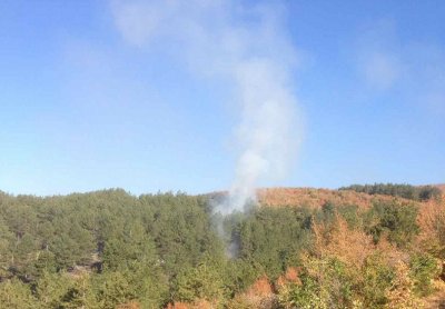Локализиран е големият горски пожар в Сливенско