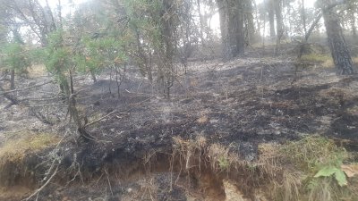 Големият пожар край Девин е ликвидиран, но остава под наблюдение и тази нощ