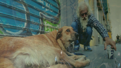 "Животът на бездомните животни" в 28 кадъра