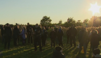 Небесно шоу в Дания: Хиляди наблюдаваха традиционния "танц" на скорците