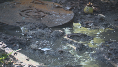 Отпадни води: Незаконен канал се излива в двор на къща в София