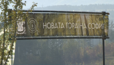 4500 нови фиданки в "Новата гора на София", залесяването продължава