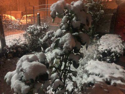 Първи сняг в София (Снимки)