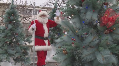 Приказна гора във Варна среща децата с Дядо Коледа и джуджетата