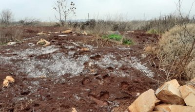 Откриха близо 200 тона предполагаемо опасни отпадъци край Пловдив
