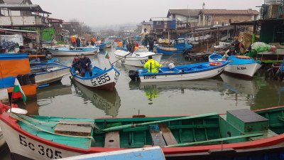 Рибари излязоха на мълчалив протест