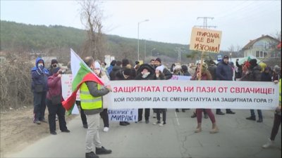 Протест във Варна срещу изсичането на боровата гора в местността Коджа тепе