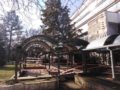 Дърво падна в Градската градина в Благоевград