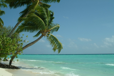 МВнР препоръчва: Не пътувайте до Малдивите