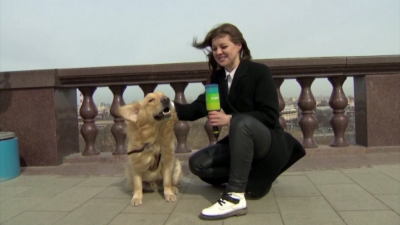 Куче отмъкна микрофона на репортер в пряк ефир