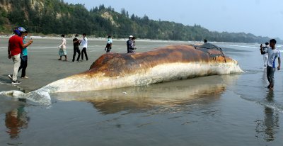 Два мъртви кита изхвърли морето на брега на Бангладеш
