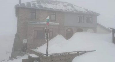 Силен снеговалеж по високите части в Благоевградско - има паднали дървета