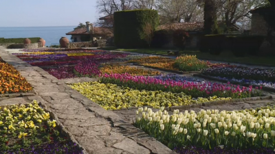 Всяка пролет Ботаническата градина в Балчик се превръща в кътче