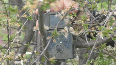 Силистренското село Калипетрово противодейства на незаконните сметища с подвижни видеокамери