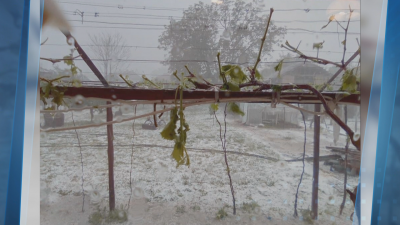 Мощна градушка и бурен вятър удариха Северозападна България Най сериозна е