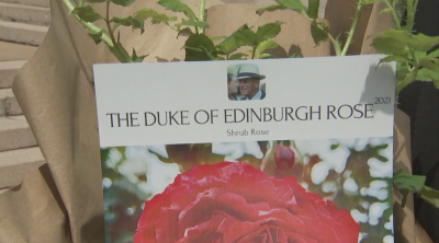 Елизабет Втора засади роза в памет на принц Филип