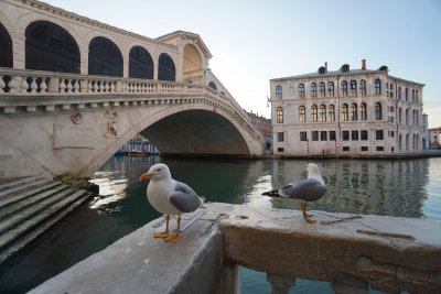 Известни личности подкрепиха апел за опазването на Венеция
